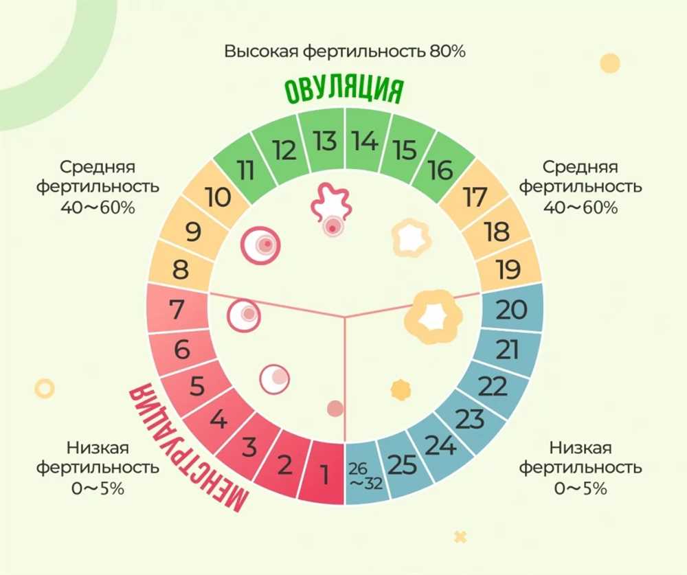 Как правильно определить овуляцию с первого дня месячных: полезные советы и методы