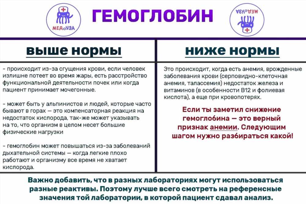 Понимание гемоглобина: ключевые аспекты и нормальные уровни