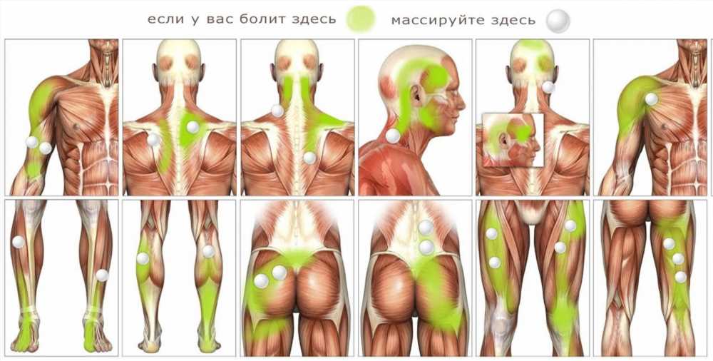 Расположение лимфоузлов на теле человека: основные точки и функции