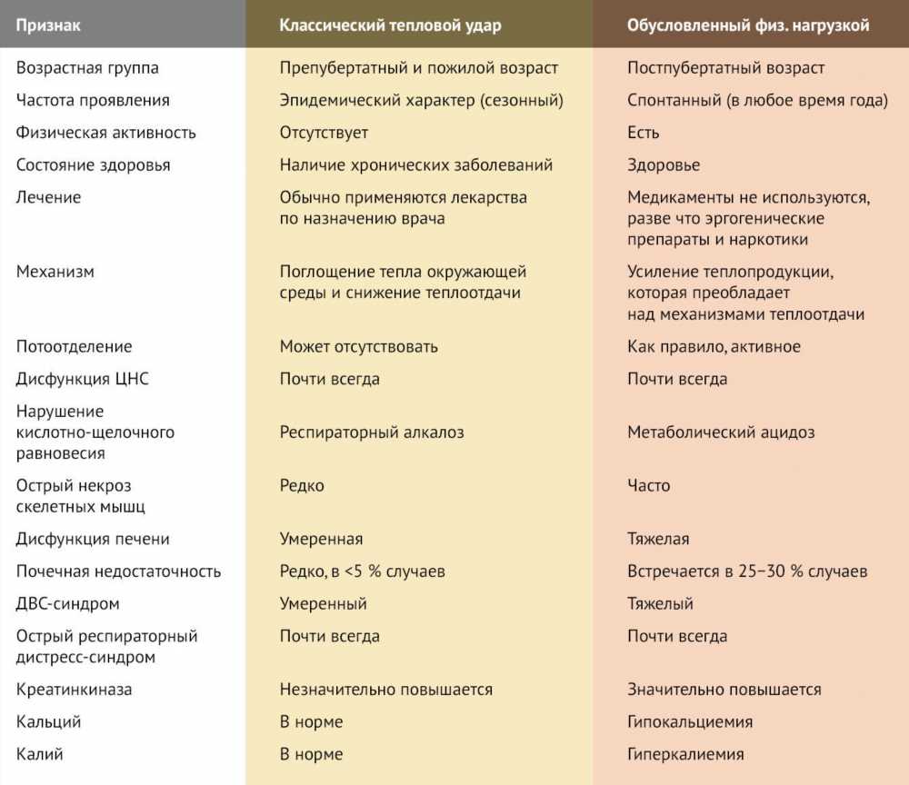 Солнечный и тепловой удар у взрослого: симптомы, признаки и диагностика