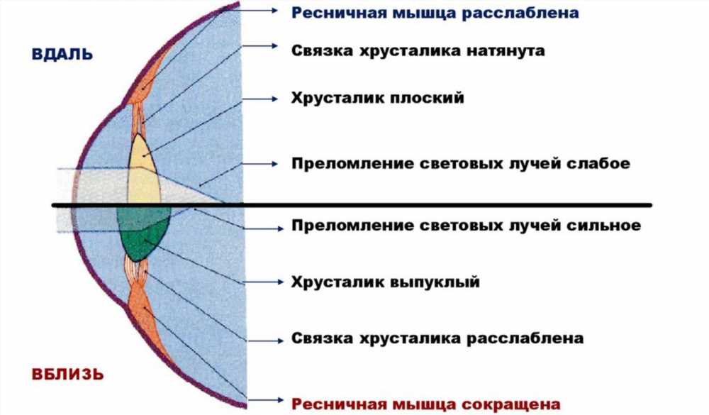 Виды нарушений зрения у детей и подростков: Симптомы, Причины и Лечение