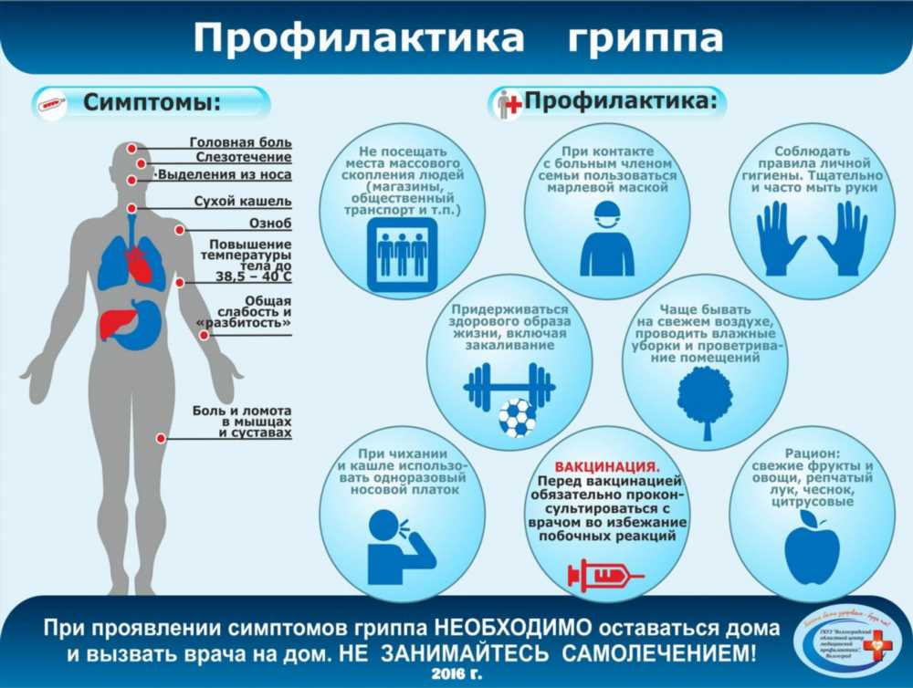 Заболевания и распространение вирусов: Основные причины и механизмы